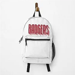Wisconsin Badgers Fading Art Bag