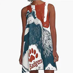 Madison, Wisconsin Badgers A-Line Dress