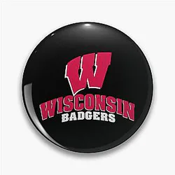 Exquisite Wisconsin Badgers Pin