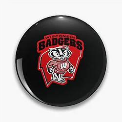 Classy Wisconsin Badgers Pin