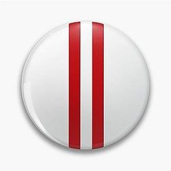 Wisconsin Badgers Pin