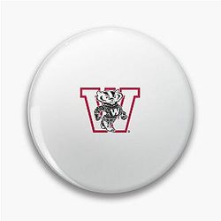 Vintage Wisconsin Badger Pin