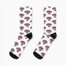 Captivating Wisconsin Badgers Design Socks