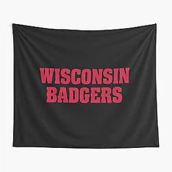 Contemporary Wisconsin Badgers Design Tapestry