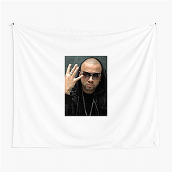 Wisin is a reggaeton rapper Wisin Tapestries
