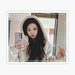 Wonyoung Hoodie Sticker