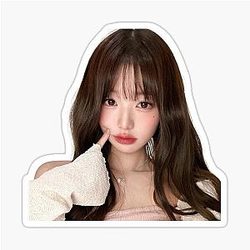 Wonyoung jang Sticker
