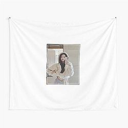 Wonyoung Hoodie Tapestry