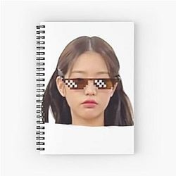 IVE Wonyoung meme photo sticker Spiral Notebook