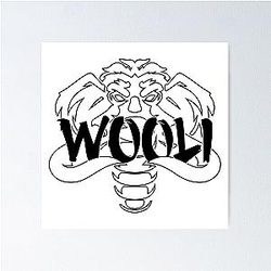 EDM Wooli Poster