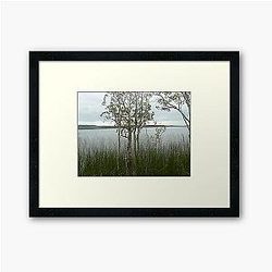 Wooli Lakes Framed Art Print