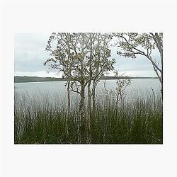 Wooli Lakes Photographic Print