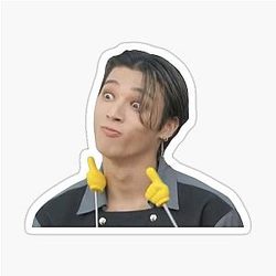 Wooyoung Meme Sticker