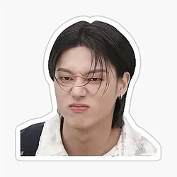 Angry Wooyoung Meme Sticker