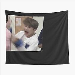 Seventeen Woozi Screaming Memtapestry