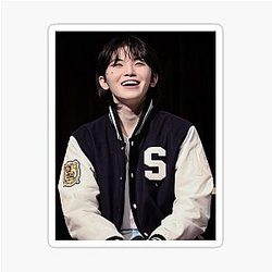 Seventeen Woozi Sticker