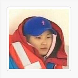Woozi Sticker