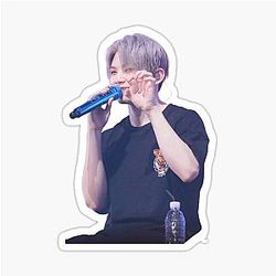 Seventeen Woozi sticker