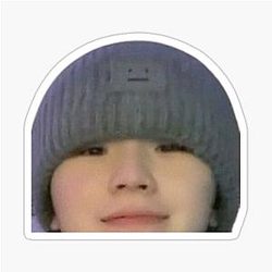 Woozi Meme Sticker