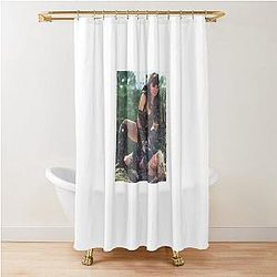 Xena and Gabrielle Vintage Art Shower Curtain
