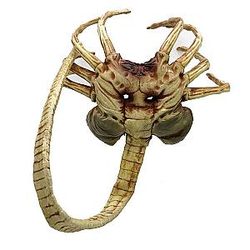 Facehugger Alien Mask with Scary Xenomorph Cosplay Halloween Prop