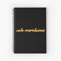 Cobra Kai: Xolo Mariduena Notebook