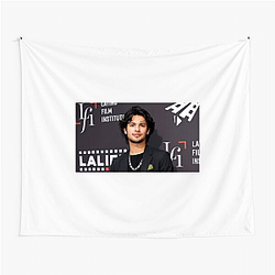 Leading Man Xolo Mariduena Tapestries