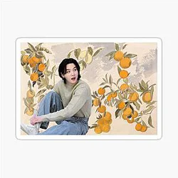 Yoon, Ginger and Indies Stiker