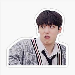 Disgusted Yunho Meme Sticker