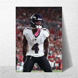 Zay Flowers Special Collection Zay Flowers Posters