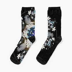 Zayne vs Socks